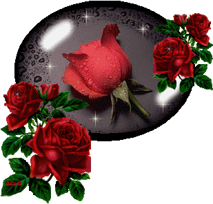 redrose7.gif